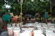 Xã Gào dẫn đầu sản lượng